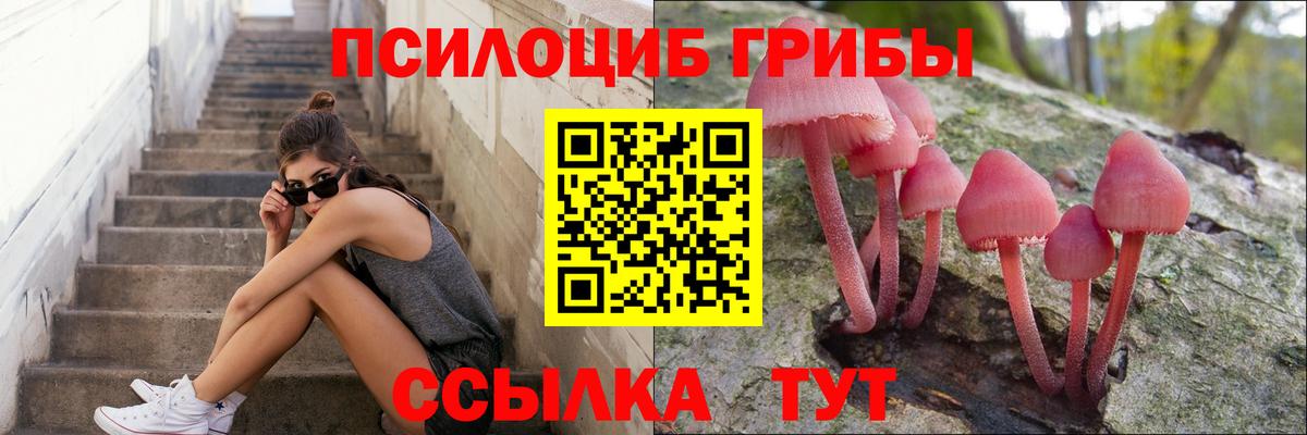 Краснознаменск  Галлюциногенные грибы мухоморы  Псилоцибиновые грибы мицелий  Вход с VPN 